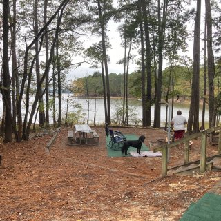 Poplar Point Campground - Jordan Lake 